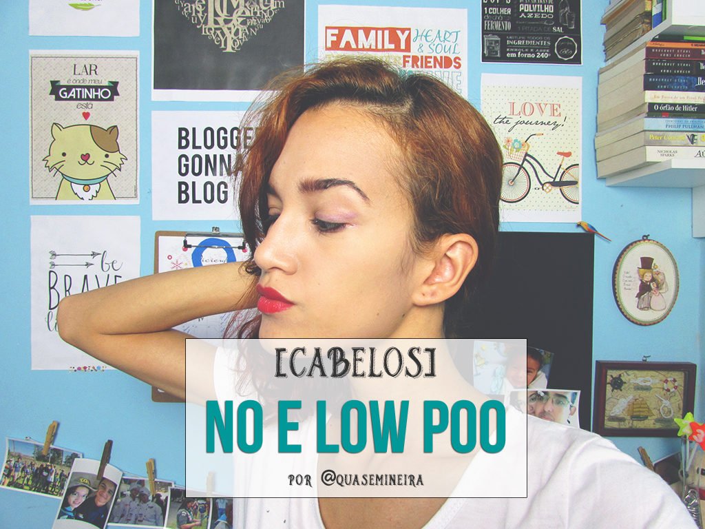 Cabelos: No e Low Poo + Produtos que estou usando 5