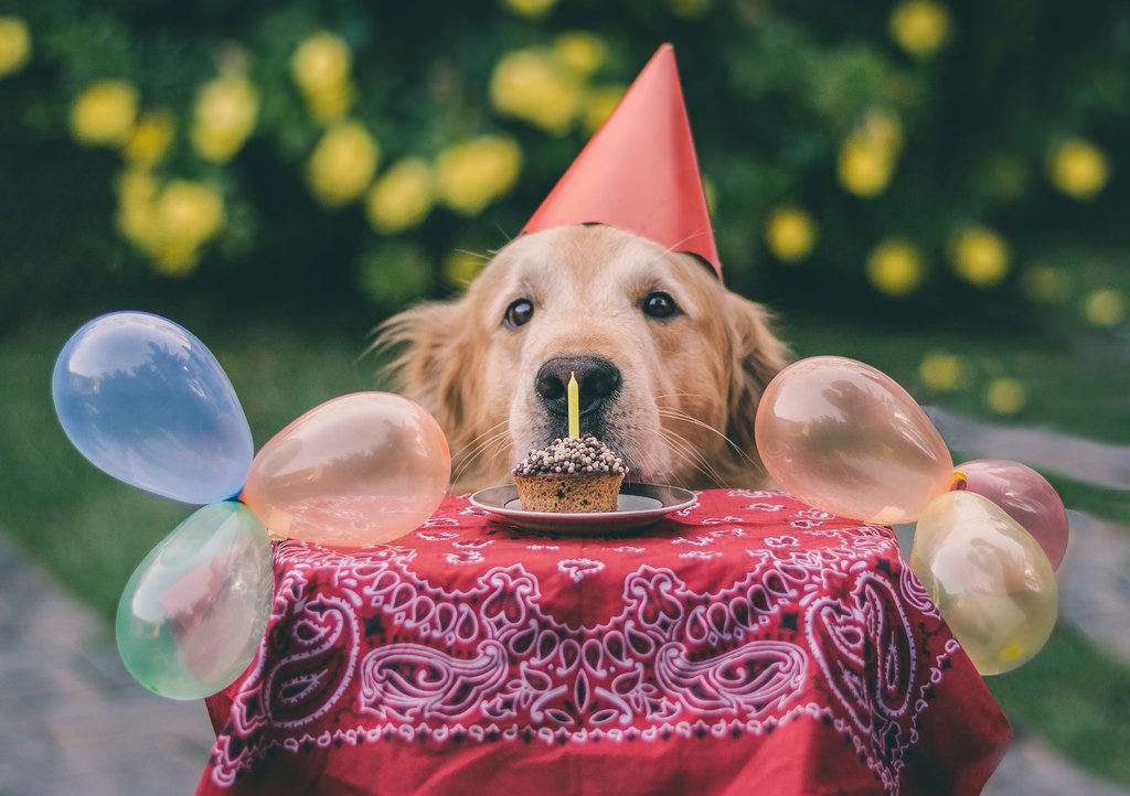 Foto de topo - Post de aniversário