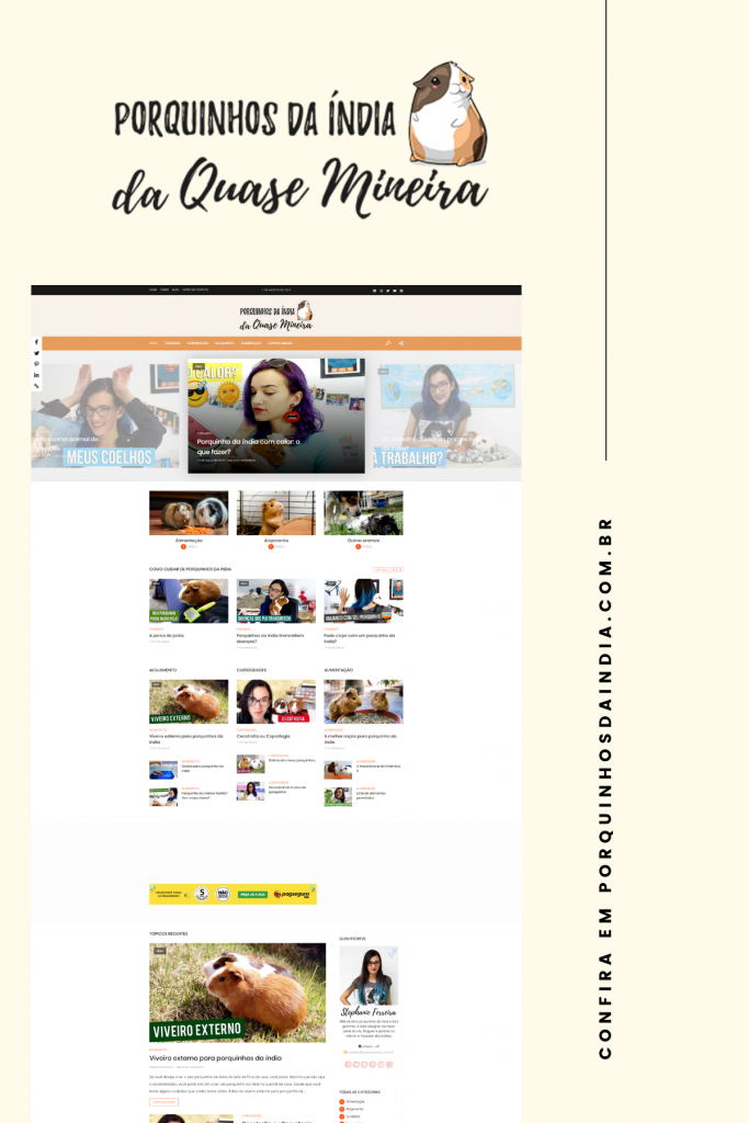 Meu site de porquinhos da índia