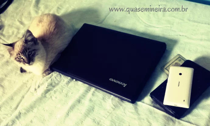 O que eu salvaria se minha casa estivesse pegando fogo? O que eu salvaria se minha casa estivesse pegando fogo? 1